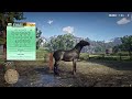 GUM Stables - How to recolour your horse - Harmony Meadows Guide