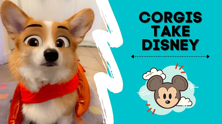 Corgis Take Disney