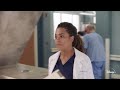Disney+ | Grey's Anatomy - Stagione 18 | In Streaming Ora