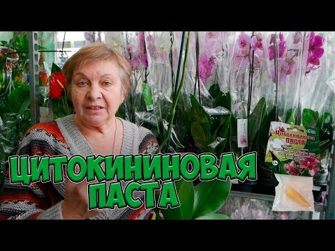 Цитокининовая паста 🌟