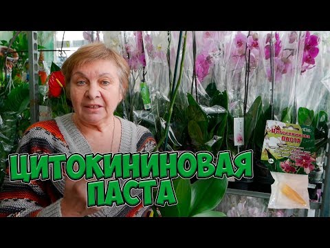 Цитокининовая паста &#55356;&#57119; Где применяется? &#55356;&#57119; Полезные советы цветоводам от hitsadTV