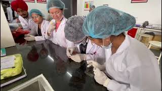 A Glimpse Into Microscopy Med Lab Tech Students Master Thin Blood Smear Prep And Examination