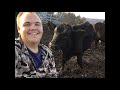 Dealing with a sassy calf (Farm vlog #11)