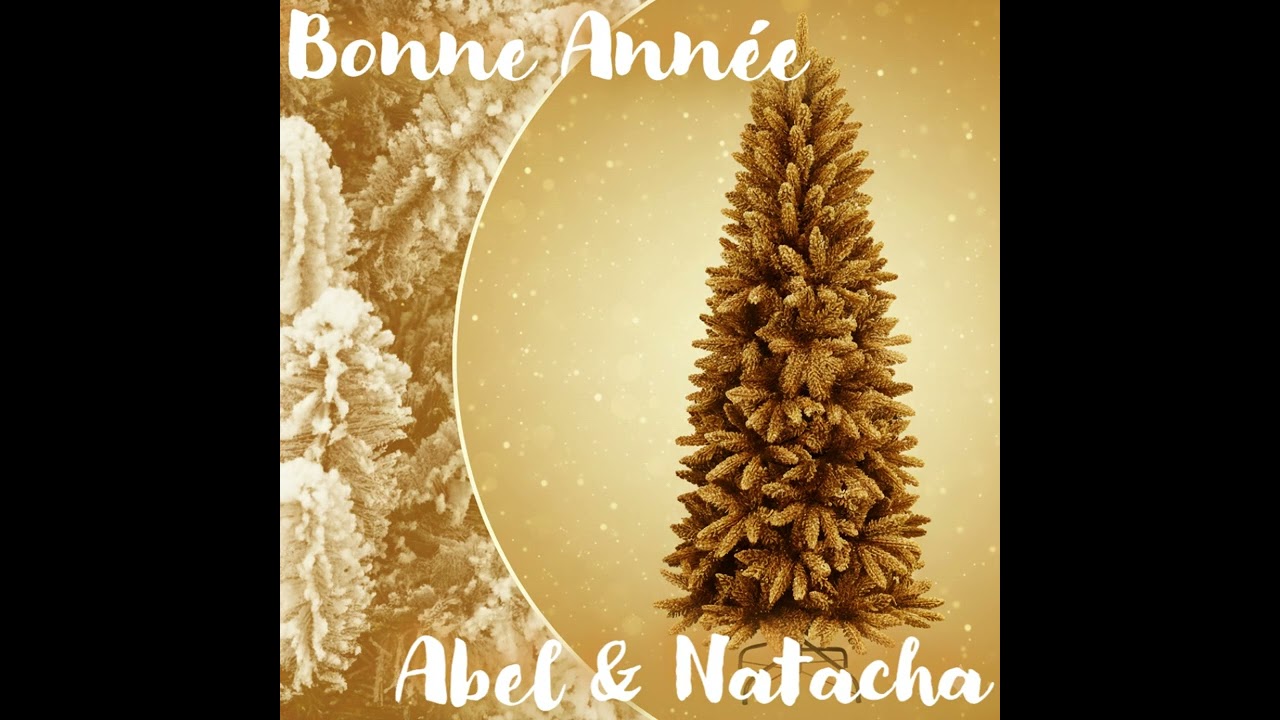 Bonne Année Lordan & Natacha