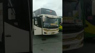 Download Lagu Bus Kalisari Basuri V3 \ MP3