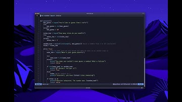 Can You Guess the Number? Python Beginner Project!