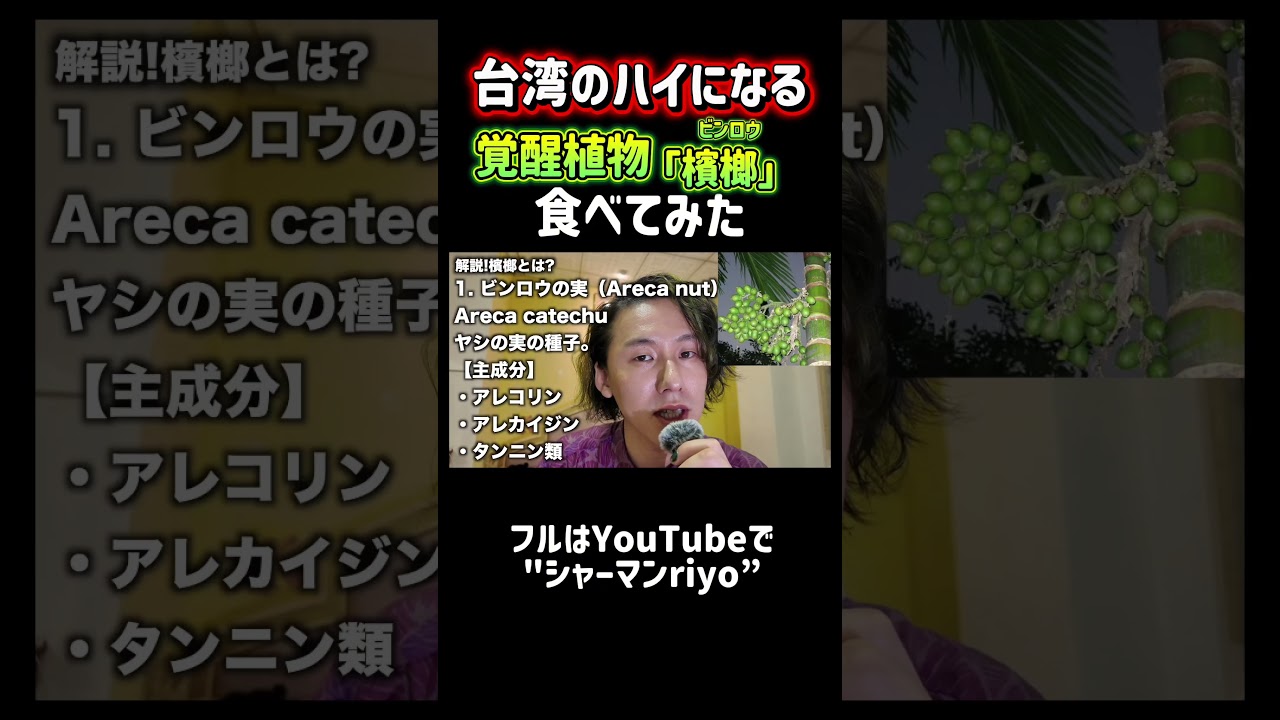 【合法】ビンロウ食べてみた