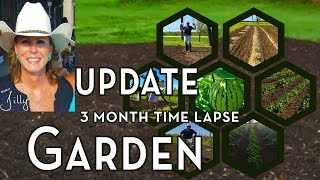 North Texas Vegetable Garden Update 3 Month Time Lapse