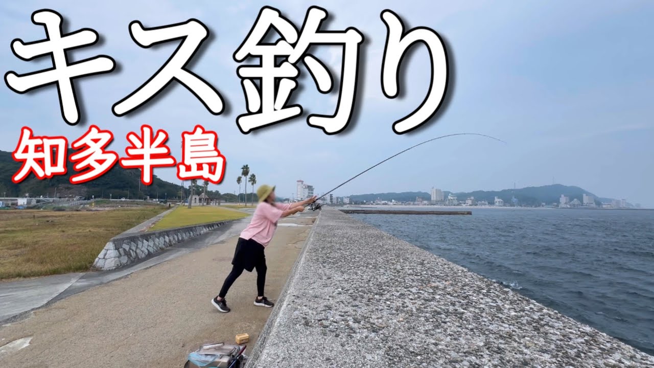 【釣り】良型連発！知多半島ちょい投げキス/魚料理/愛知県知多半島