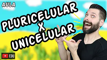 O que são seres vivos multicelulares?
