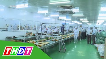 Đồng Tháp có 54 dự án đầu tư trong lĩnh vực nông nghiệp, nông thôn | THDT
