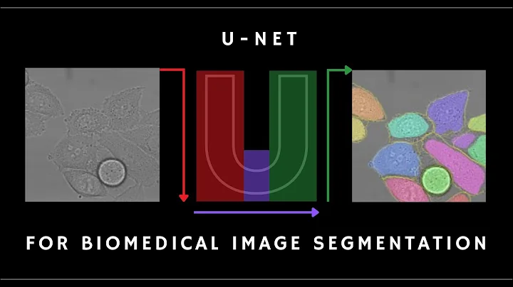 U-Net for Image Segmentation - Research Paper Summary