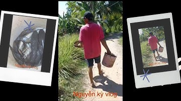 Gia đình ôg 5 Tát mương: bắt cá ,tôm trúng ổ cá lóc đồng...cái kết k nhịn được cười |Nguyễn kỳ vlog|