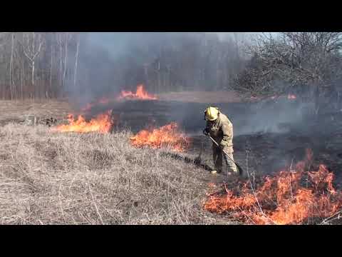 April 6fieldfire