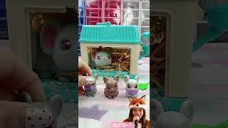You guys get to name the little hamster! 🐹📝✨ #shortvideo