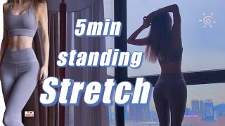 5Min Daily Stretch | Relaxing & Simple Stand | Pre & Post Workout | Beginner & Stiff Muscle Friendly