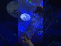 A Galaxy of Satisfying Crunchy Slime 👀