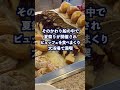 クルーズ船に台風がきたらどうなる?ダイヤモンドプリンセスの場合 #クルーズ #ダイヤモンドプリンセス #ちたんまたん #台風