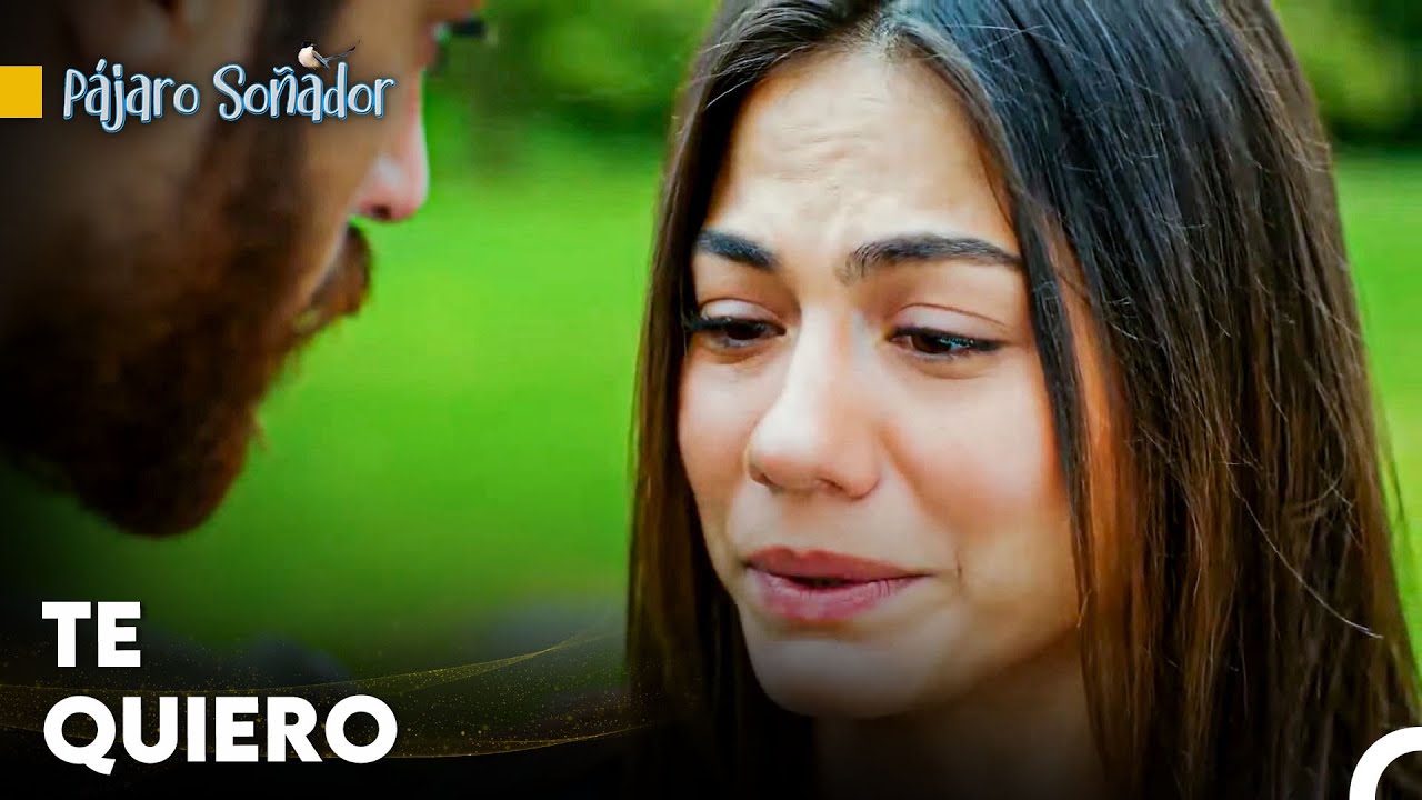 Nunca Se Olvidan Los Ojos Que Miran Con Amor  - Pájaro Soñador