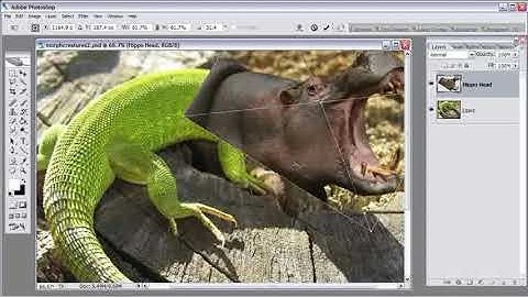 Morphing Creatures using photoshop Part 6
