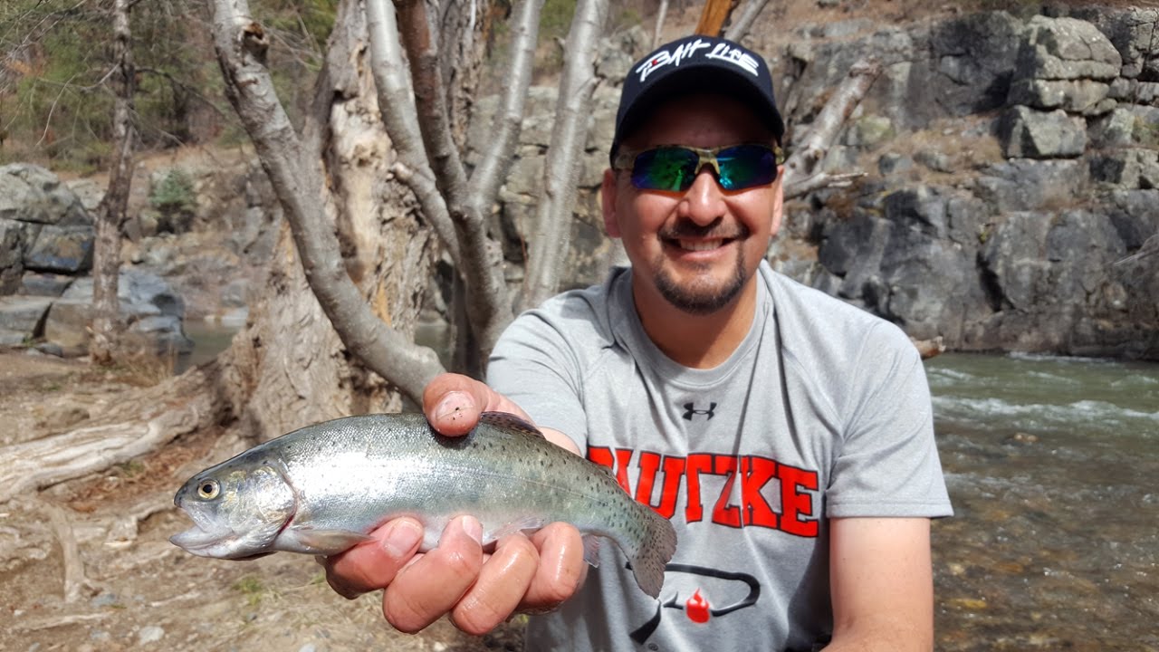 new mexico fishing trips