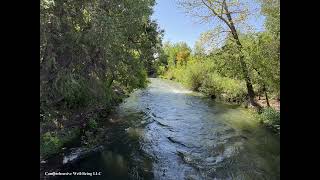A Moment to Commit to Your Path Guided Reflection - Michelle Reugebrink (13 MInutes)