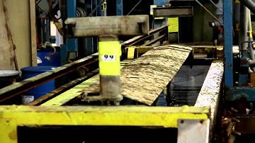 Larsen & Shaw Featured on "World