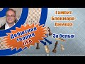 Гамбит Блекмара-Димера. За белых. Игорь Немцев. Обучение шахматам