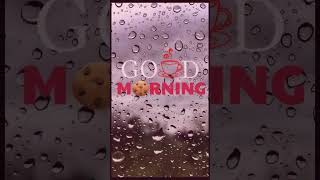 happy rainy day | good morning| #shorts #rain