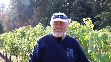 Brix Test with Refractometer