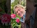 A herbaceous Peony can live more than 50+ years #advice #peonies #howto  #gardentips