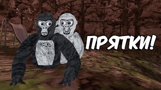 прятки с подписчиками | Gorilla Tag