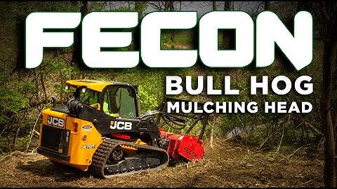 JCB 270T with Fecon BH74 Bull Hog