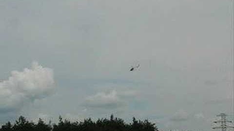 Flying honey bee cp2