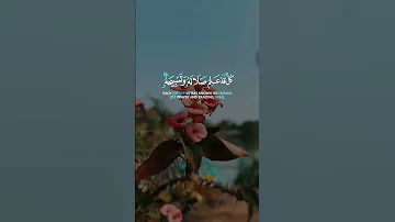 أ ل م ت ر أ ن الل ه ي س ب ح ل ه م ن ف ي الس م او ات عبد الباسط قرآن اكسبلور 