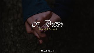 Ruu Chaya (d  රූ චායා ) || D brothers | Shashi X Chathumi | Adare Sanda Ma Mage Sitha