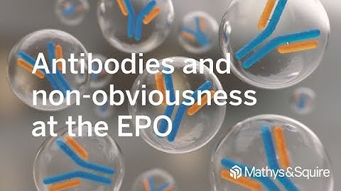 Antibodies and non obviousness at the EPO | Mathys & Squire webinar