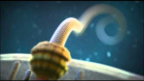 Irreducible Complexity?  The Bacterial Flagellum