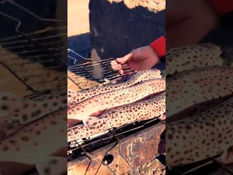 تيم السامحي متابعيني الغالين اتفرج على يوتيوب Smartphone Kabootar Motivation Nature Travel 