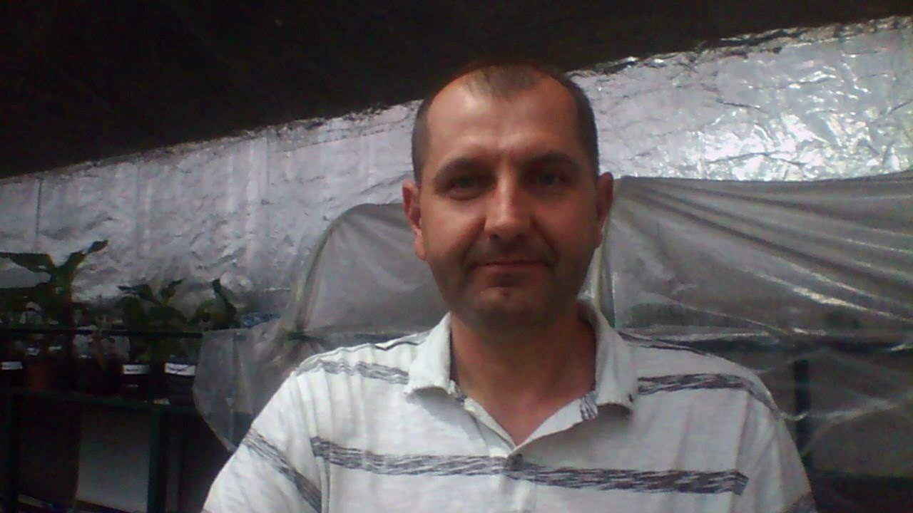 Теплица. Прямой эфир 15.08.19 - YouTube