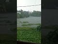 Rainy season