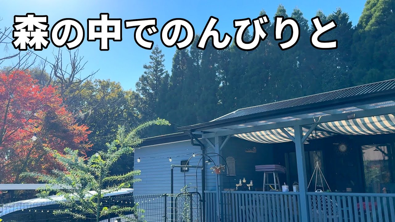 ［森の中でひとりと犬猫暮らし］子猫達のためにおもちゃ買ったら先住犬が・・・