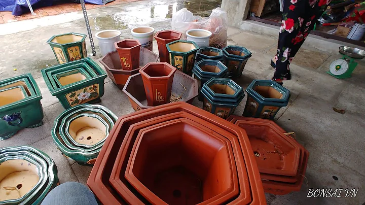 MUA CHẬU TRỒNG CÂY RẺ NHẤT