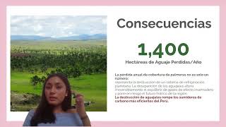 "Avance del portafolio 2 - Daniela Harian Mundaca Vallejos"
