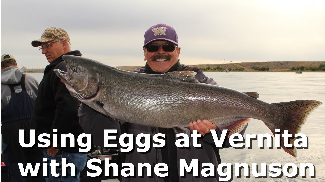 Using Eggs At Vernita With Shane Magnuson YouTube Using Eggs At Vernita With Shane Magnuson YouTube