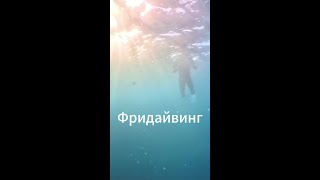 ФРИДАЙВИНГ — ЭТО ПРО СОСТОЯНИЕ 🌊