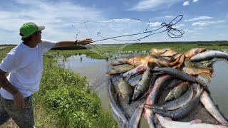Gar fish rescue and catching tons of fish with cast net