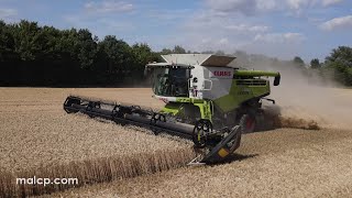 Harvest 2022: Claas Lexion 760 TT with MacDon FD135 header in wheat