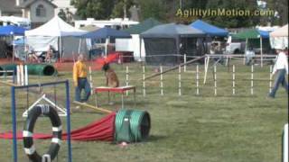 20100531-wings-std.wmv