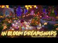 In bloom dreamsnaps discord review part 1